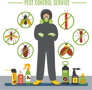 Why is Regular Pest Control Required