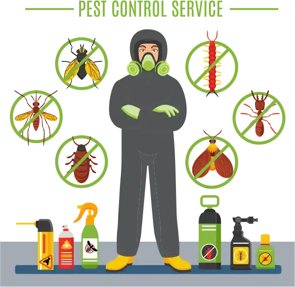 Why is Regular Pest Control Required