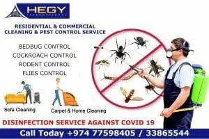 Best Cleaning Services