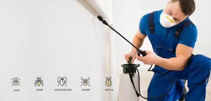 pest control and cleaning services in qatar