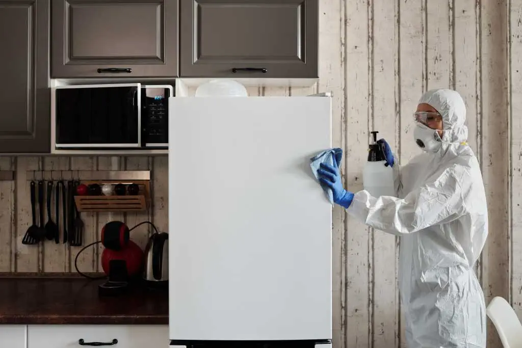 Anti Termite Treatment in Doha, Qatar