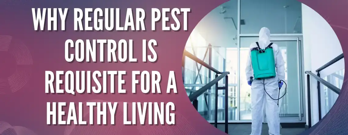 Why Regular Pest Control Is Requisite for A Healthy Living?