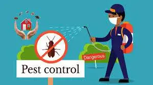 qatar pest control