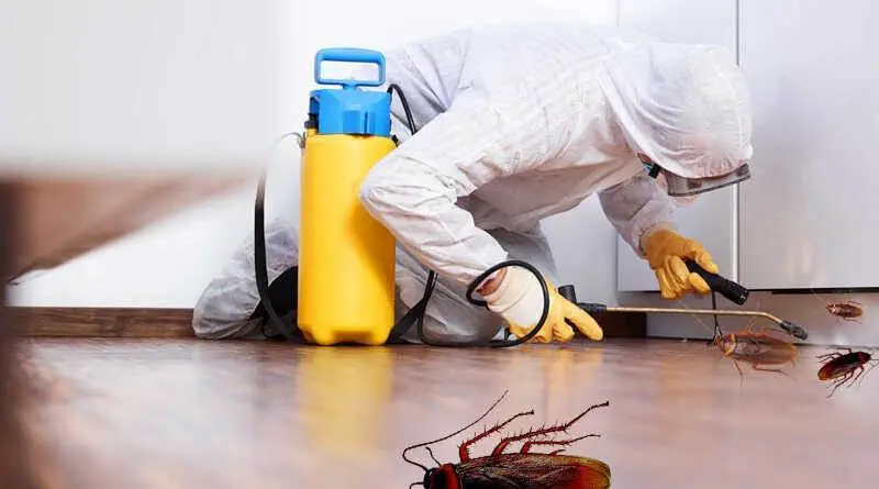 pest control qatar